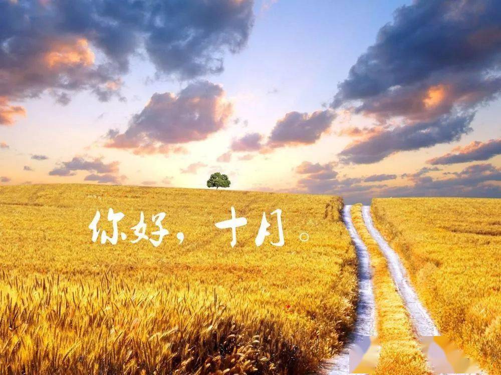 我是不是做了件傻事 ？