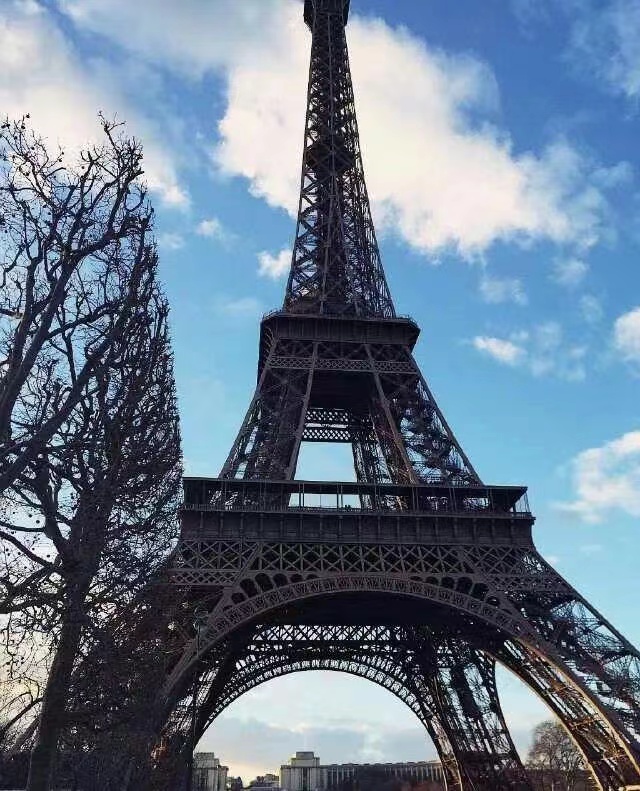 货代第二个十年，愿我们都能坚持所爱，奔赴山海......