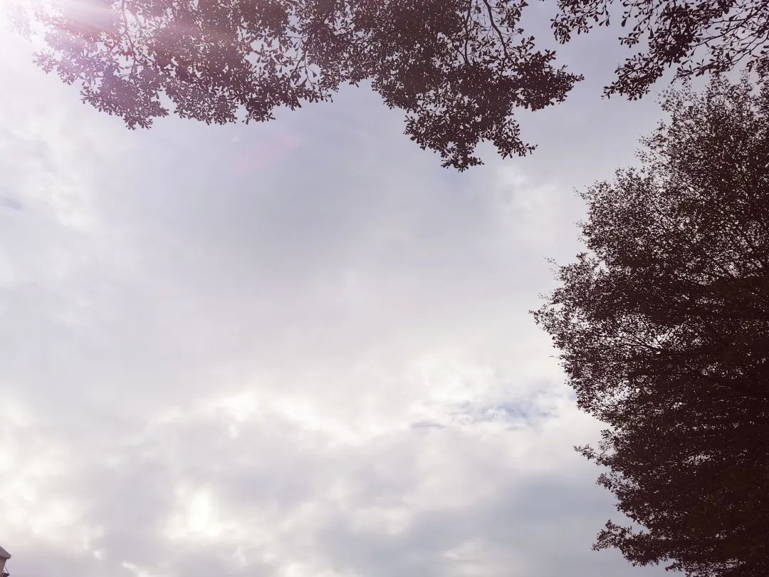 重构:从新开始,从心出发